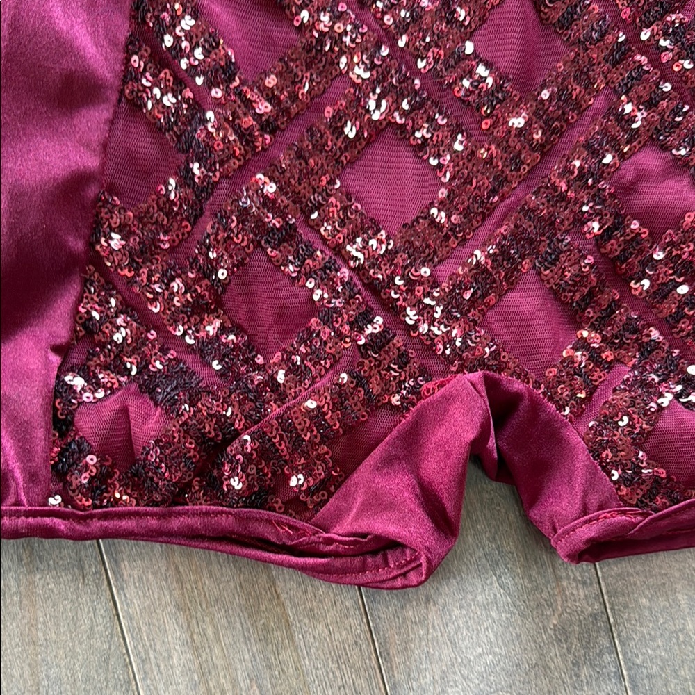 Set of 2 Dance Costumes- Burgundy Sequin Bodysuits - Picture 7 of 10